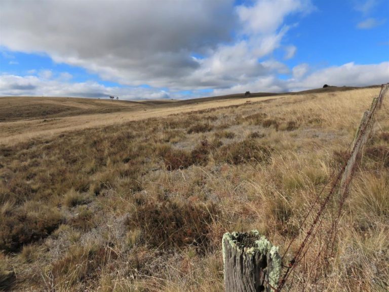 Challenges of managing Top Hut Travelling Stock Reserve (TSR) for biodiversity conservation: The story so far ….